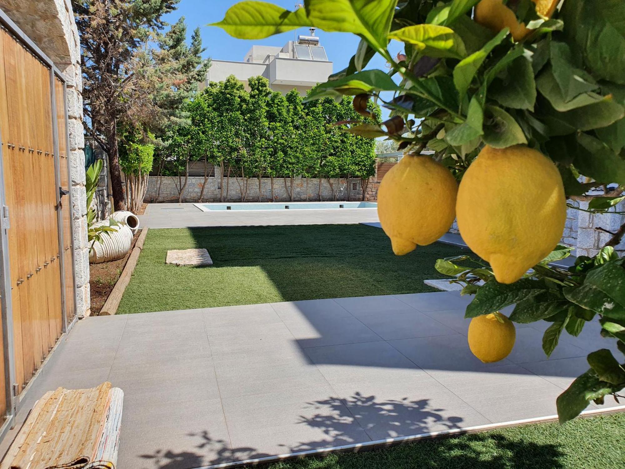 Villa Lina Salamina Ambelakia Dış mekan fotoğraf